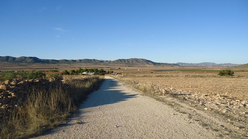 Terrenos en venta