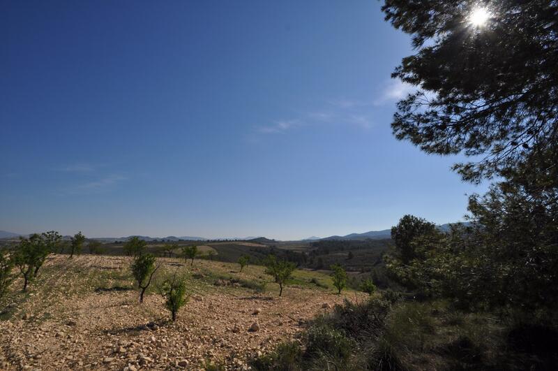 земля продается в La Zarza, Murcia