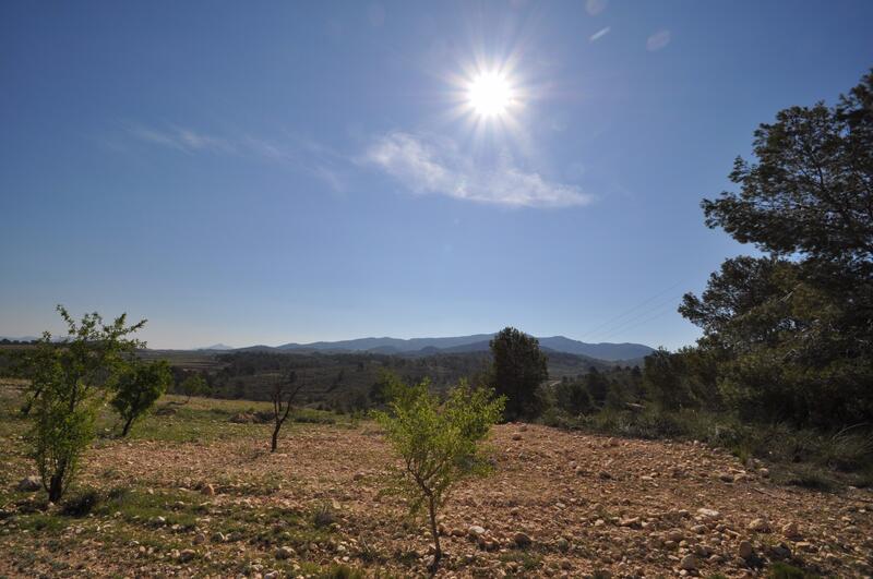 Terrain à vendre