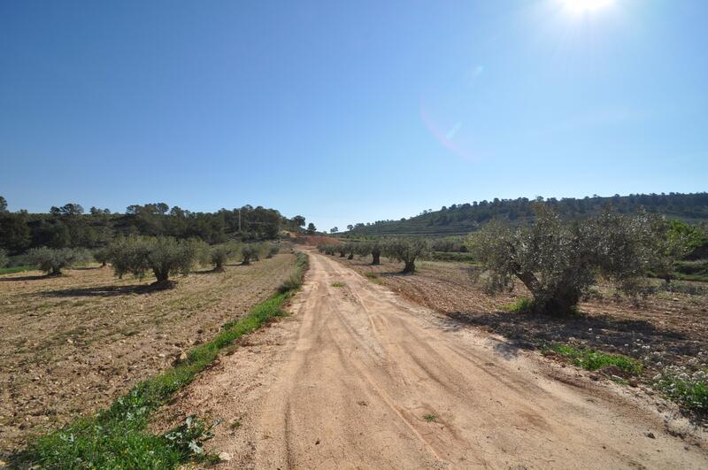 Land for sale in La Zarza, Murcia