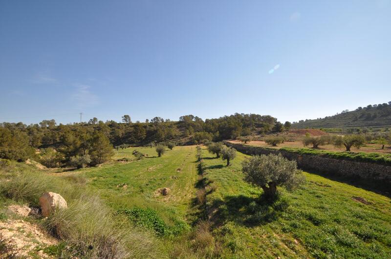 земля продается в La Zarza, Murcia