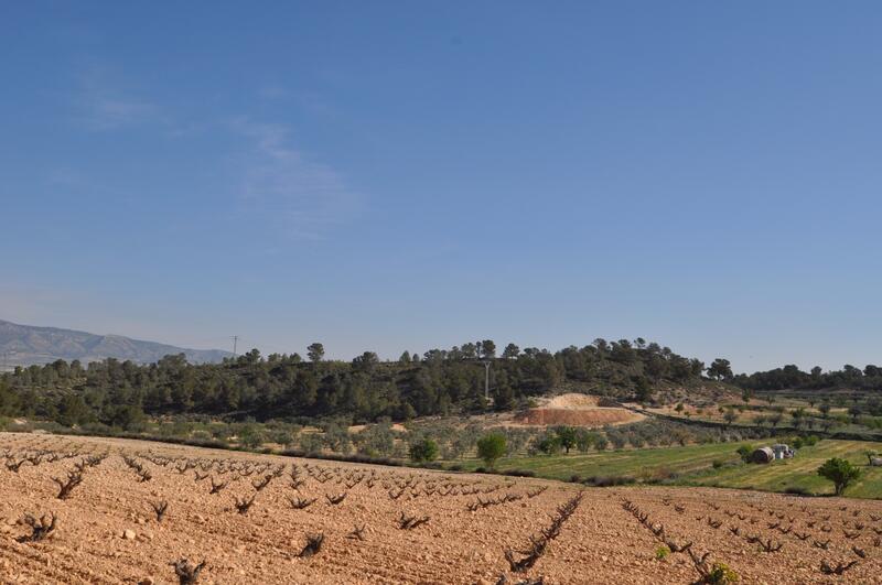 Land for sale in La Zarza, Murcia