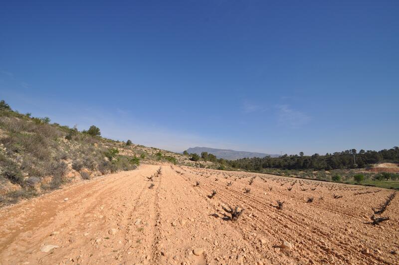 Terrenos en venta