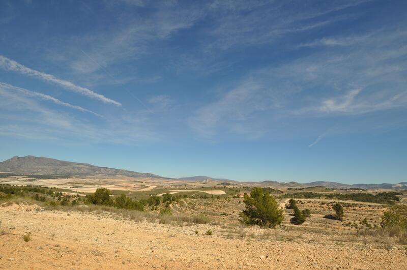 Land for sale in La Zarza, Murcia