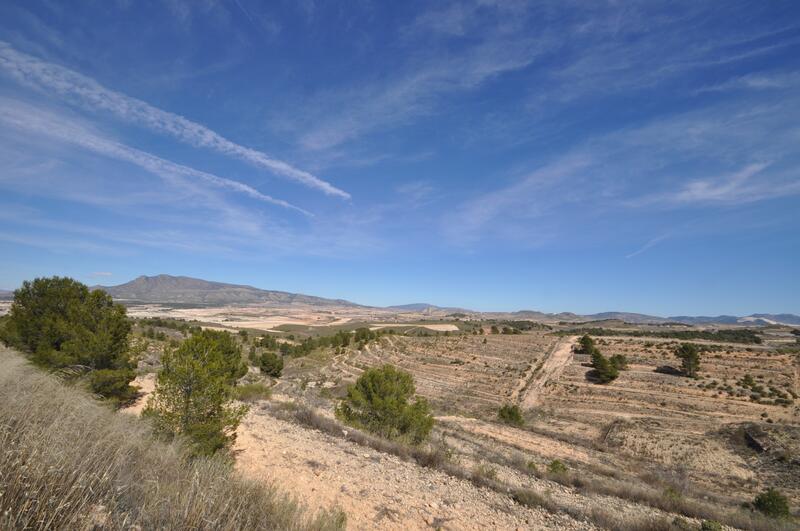 Terrenos en venta