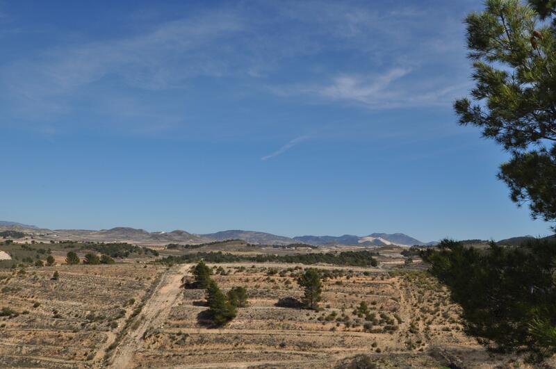 Terrain à vendre