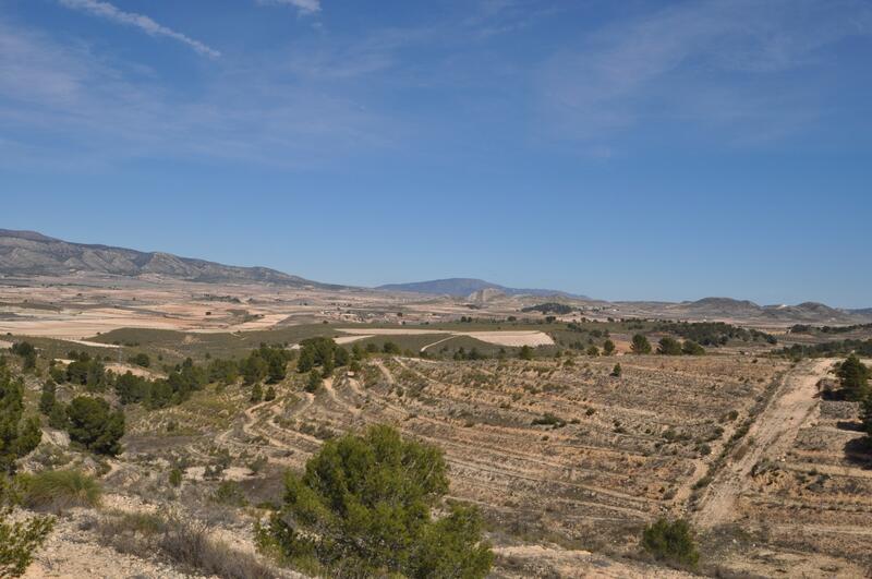 Terrain à vendre