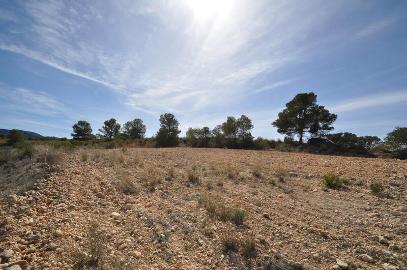 Terrain à vendre