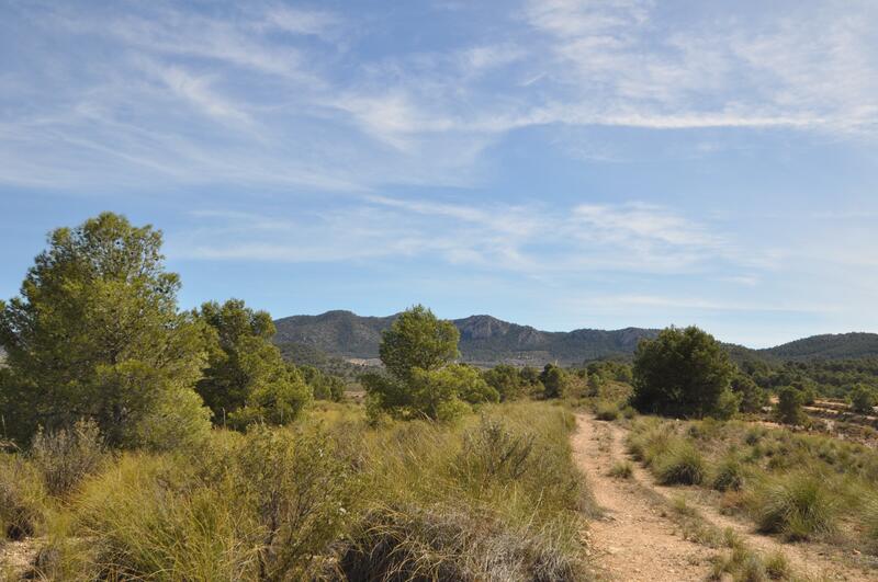 Terrenos en venta