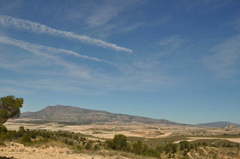 Terrenos en venta