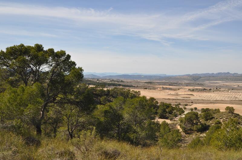 Terrain à vendre