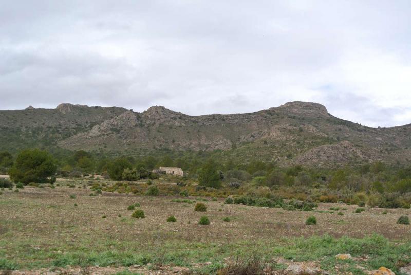 Jord til salg i Yecla, Murcia