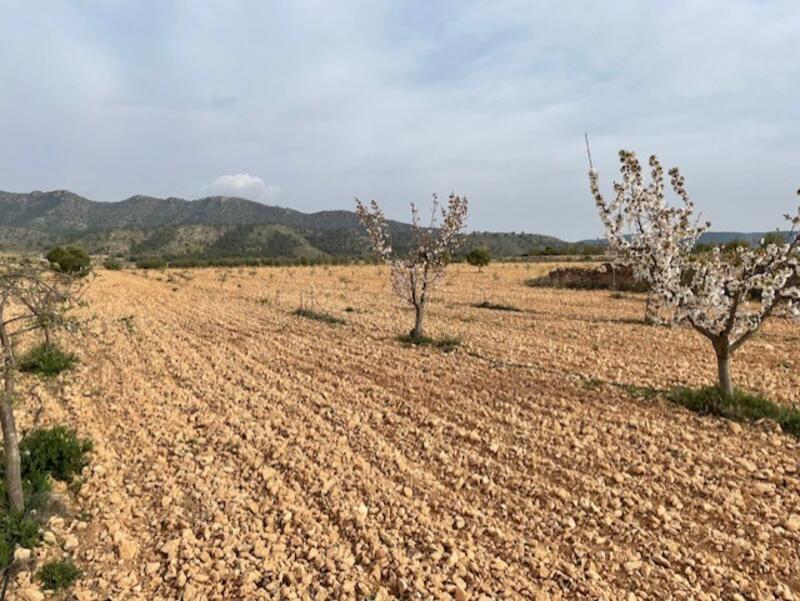 Terrenos en venta