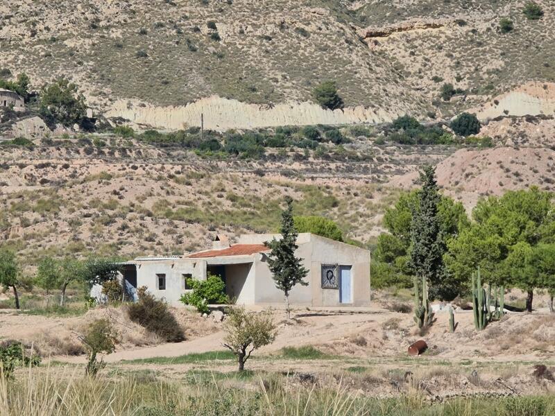 Lantställe till salu i Abanilla, Murcia