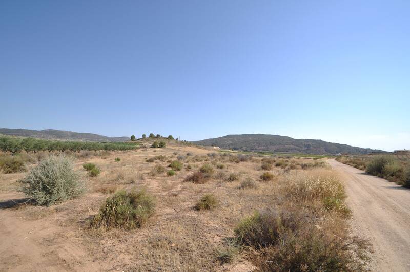 Land for sale in Pinoso, Alicante