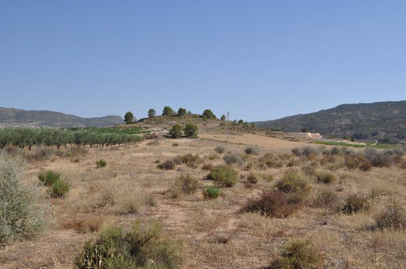 Terrain à vendre