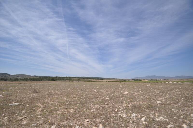 Land for sale in Pinoso, Alicante