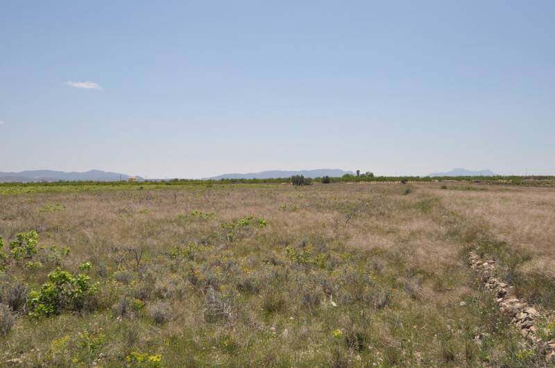 Land for sale in Pinoso, Alicante