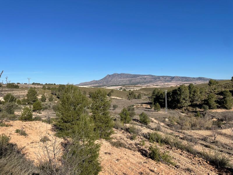 Land for sale in La Zarza, Murcia