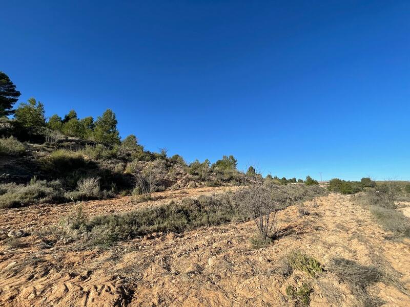 Land for sale