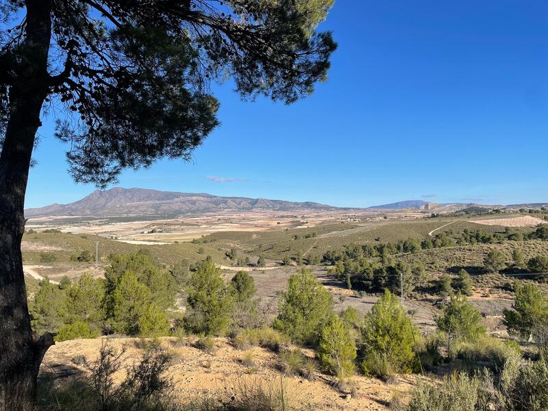 Land for sale in La Zarza, Murcia