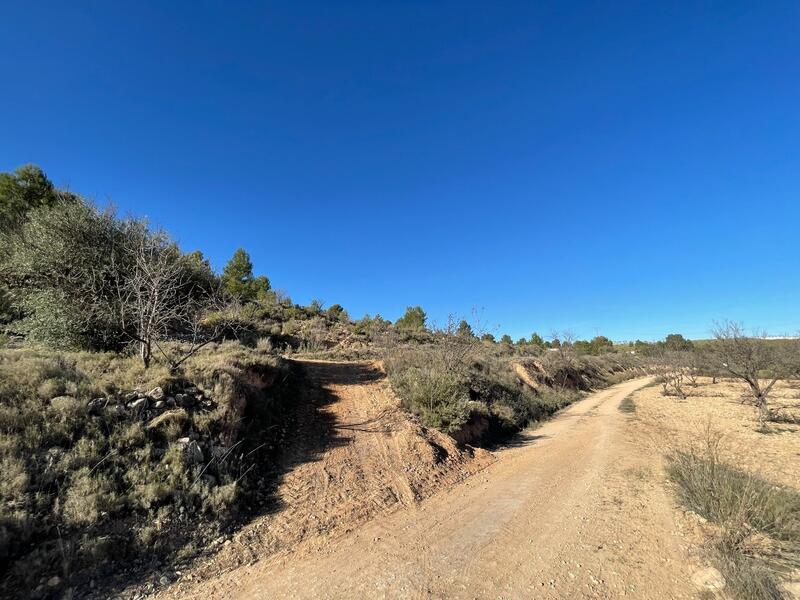 Terrain à vendre