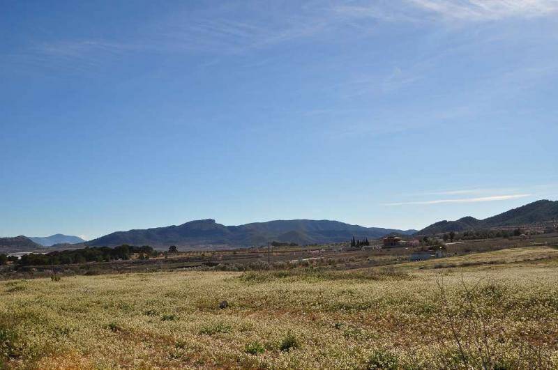 Land for sale in Chinorlet, Alicante