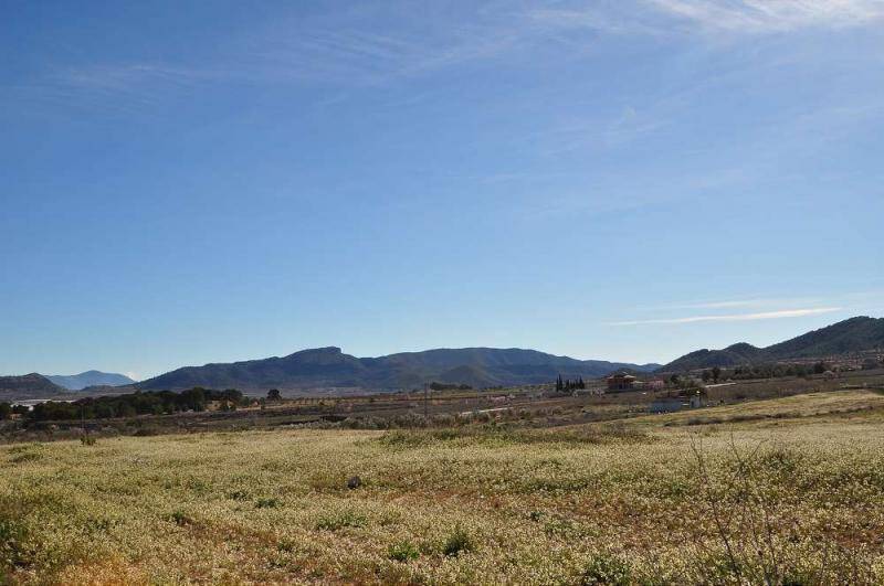 Terrain à vendre dans Chinorlet, Alicante