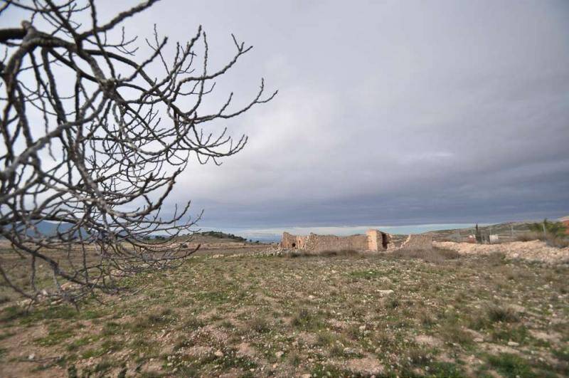 Lantställe till salu