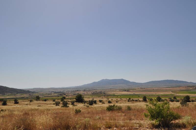 Terrenos en venta en Pinoso, Alicante