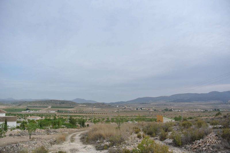 Terrain à vendre