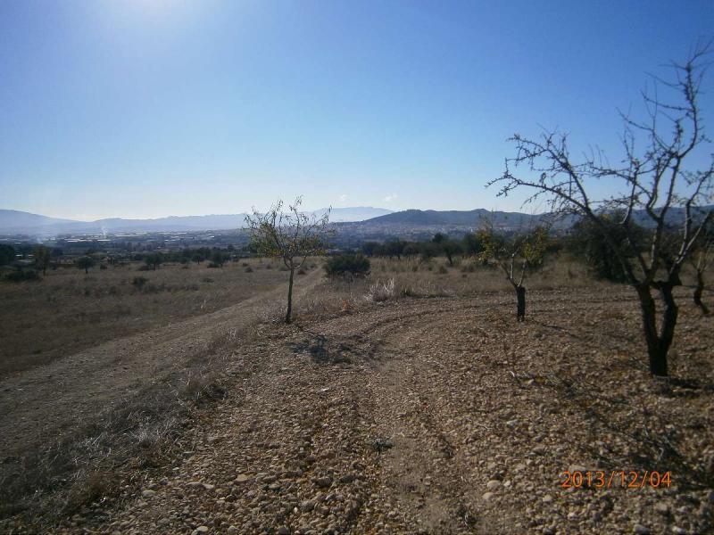 Land for sale in Yecla, Murcia