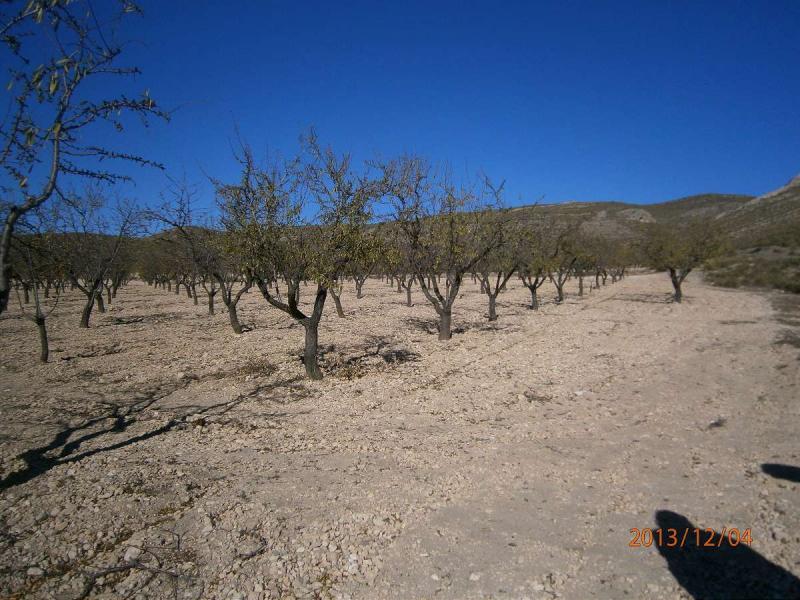 Terrenos en venta