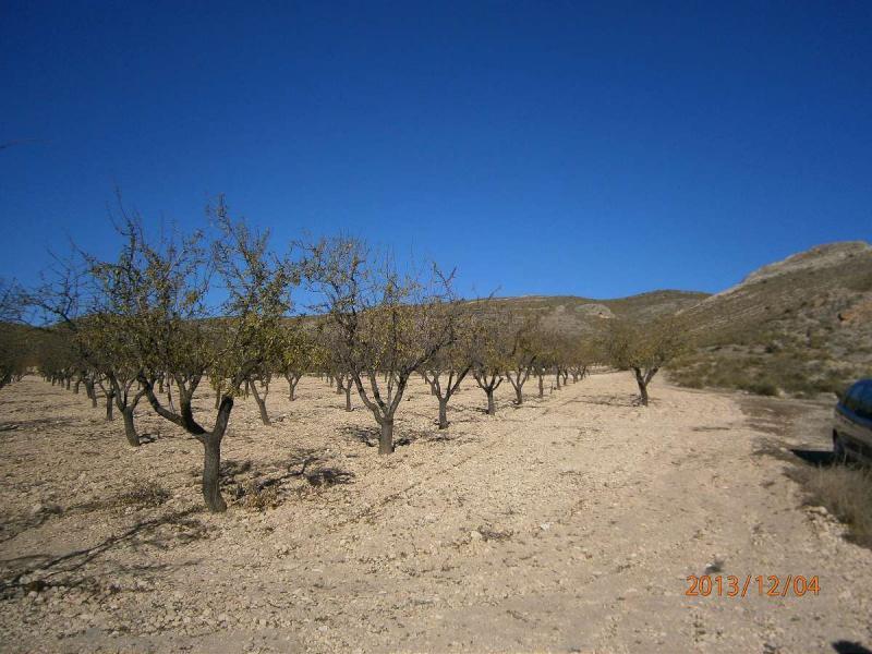 Terrenos en venta