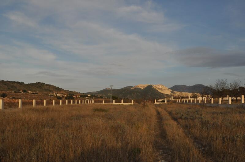 Land for sale in Cañada de la Lena, Murcia