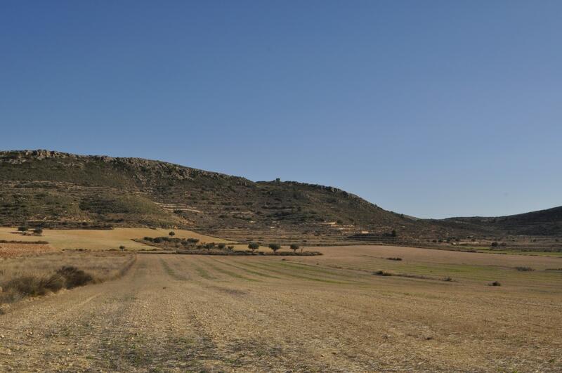 Terrain à vendre dans Torre del Rico, Alicante