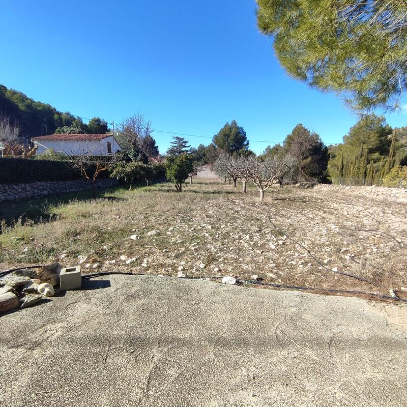 6 chambre Auberge à vendre