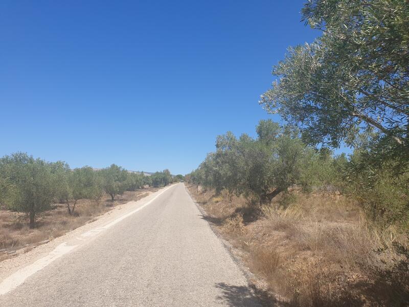 Land for sale in Biar, Alicante