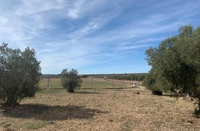 Casa de Campo en venta