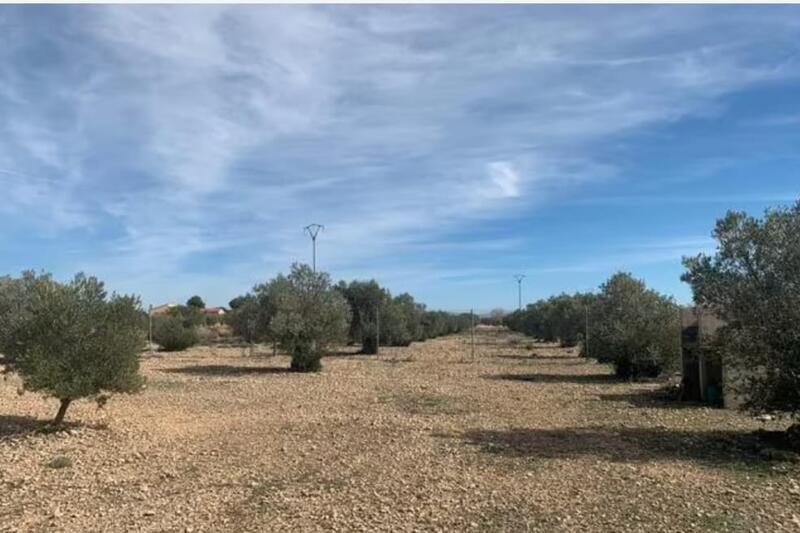 Land for sale