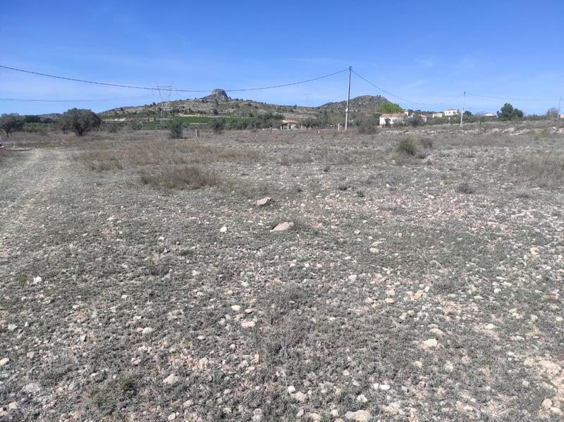 Land for sale in Salinas, Alicante