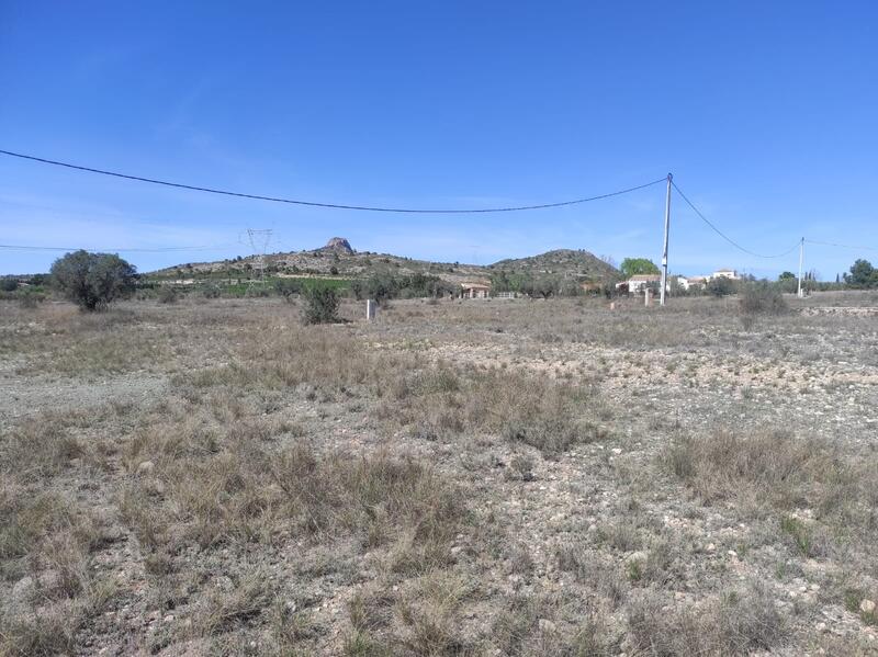 Land for sale