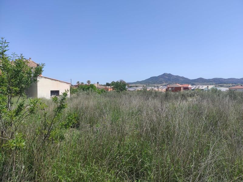 Land for sale