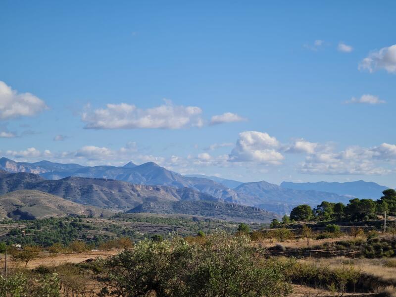 Terrain à vendre