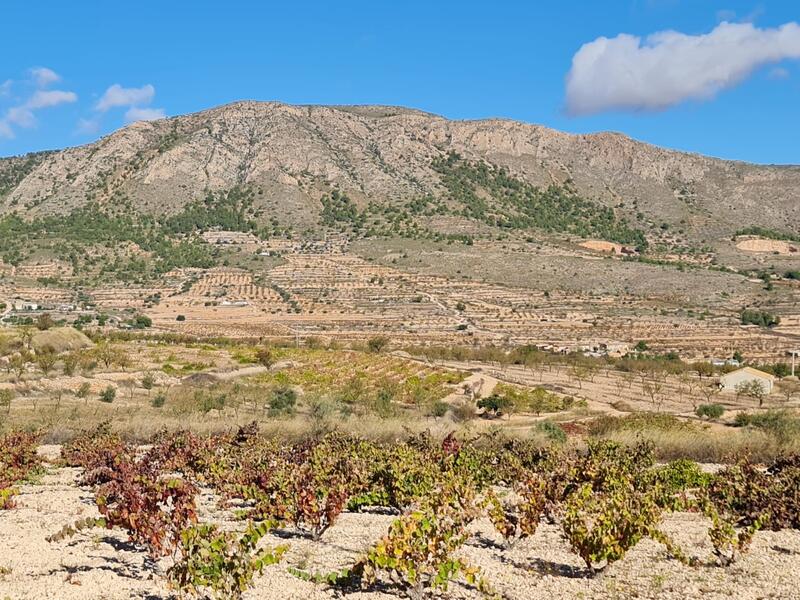 Terrain à vendre