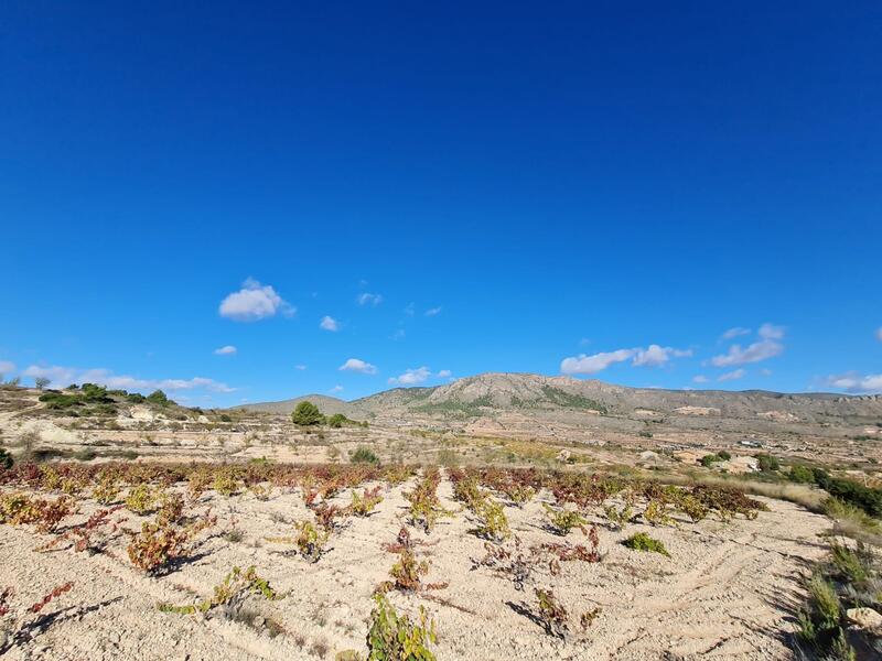 Terrain à vendre