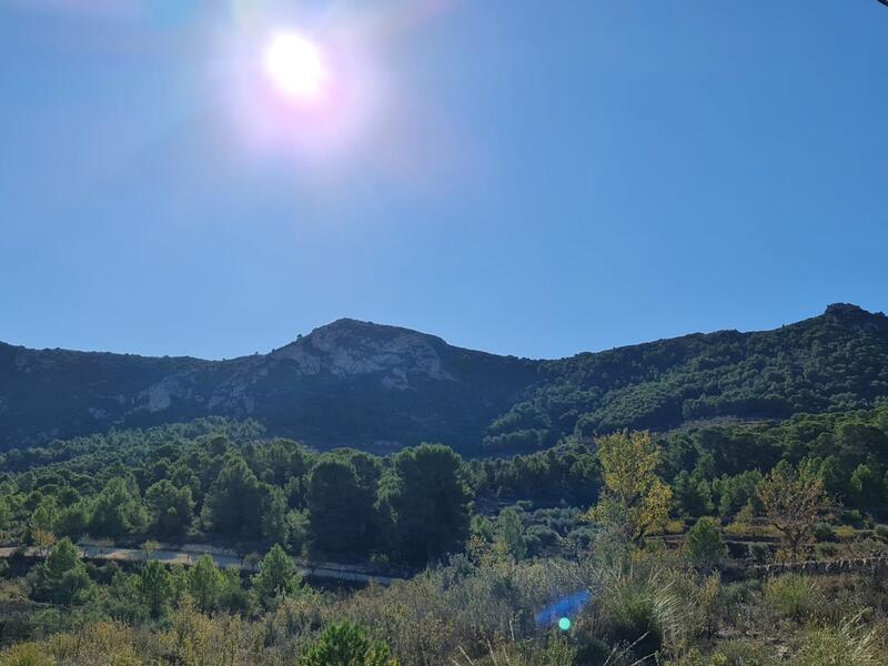 Terrain à vendre