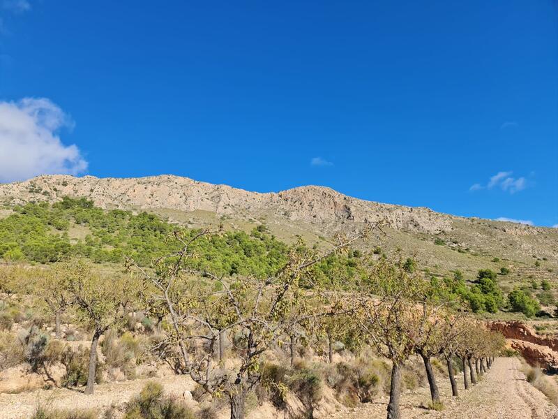 Terrain à vendre