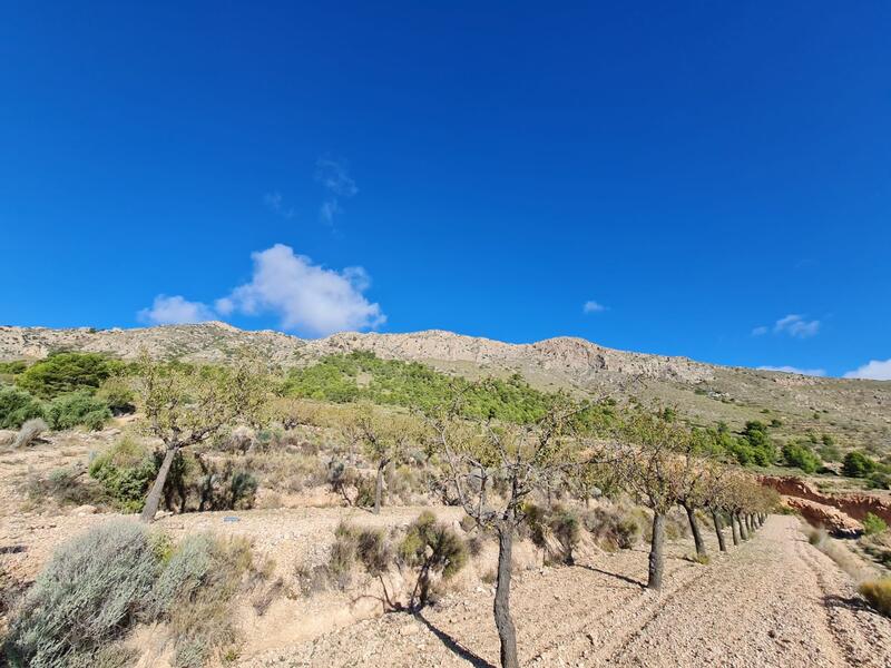 Terrain à vendre