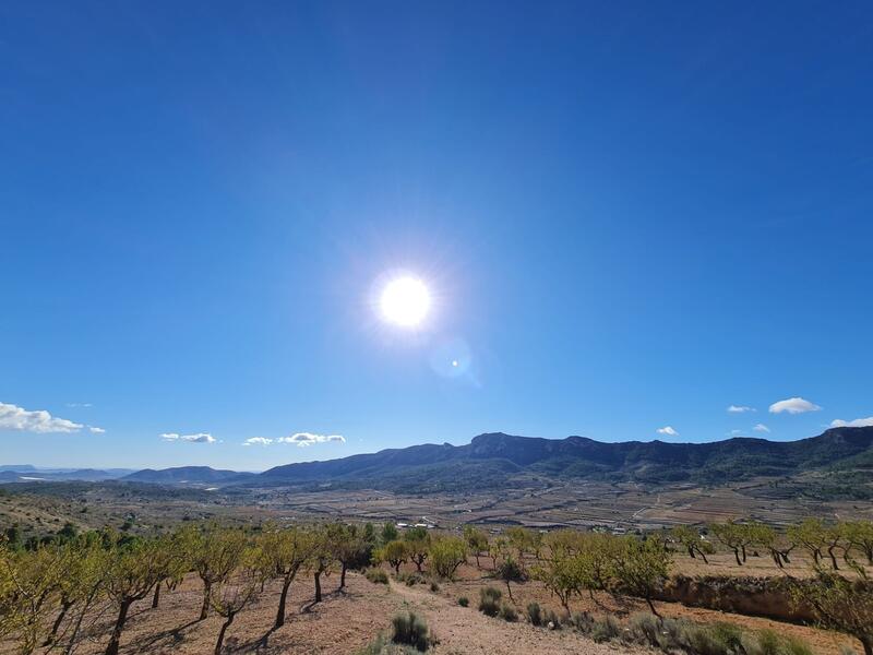 Terrenos en venta